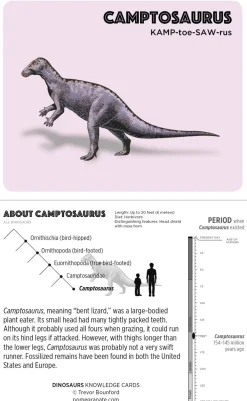 Pomegranate Games & Puzzles|Dinosaurs Knowledge Cards