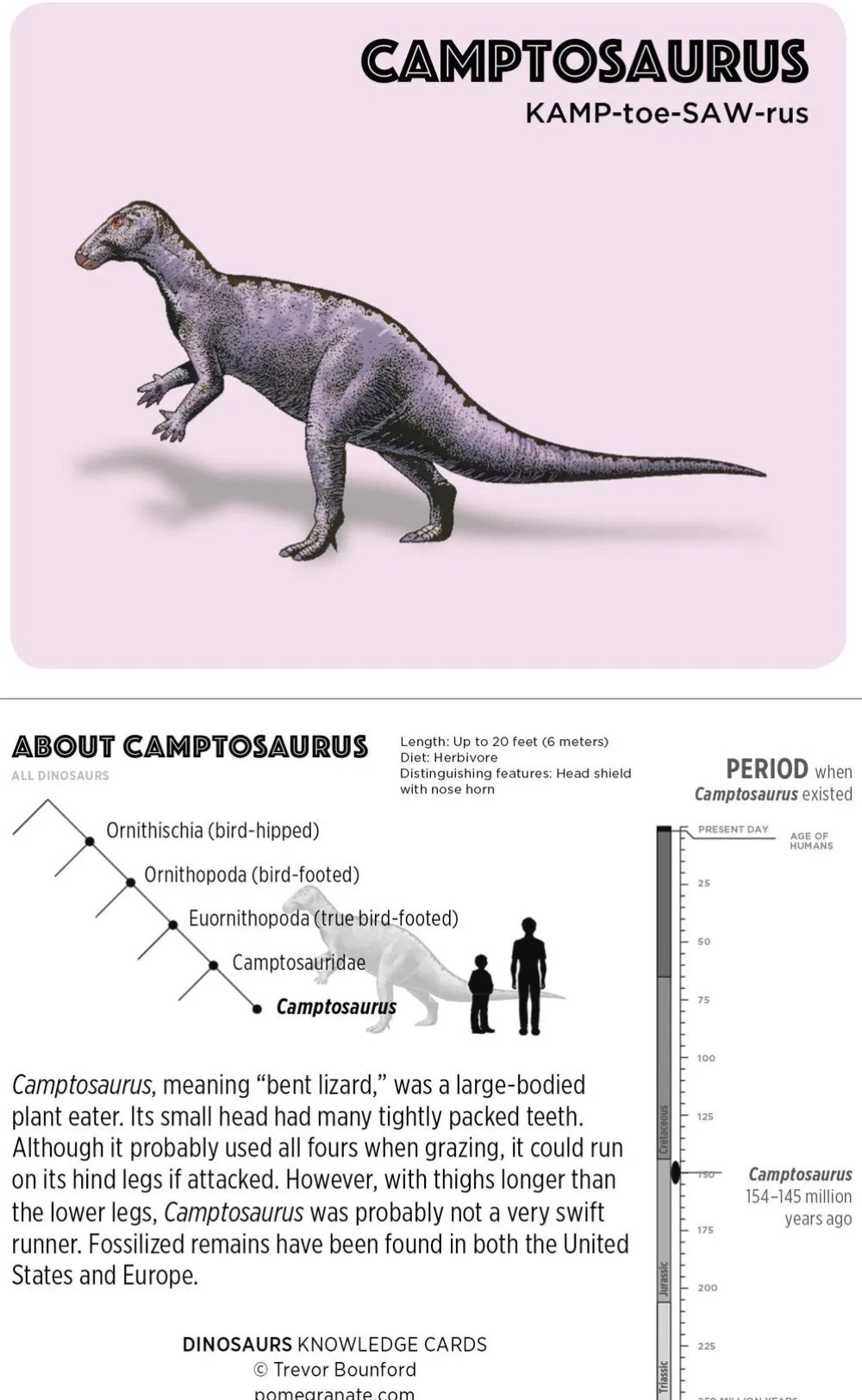 Pomegranate Games & Puzzles|Dinosaurs Knowledge Cards