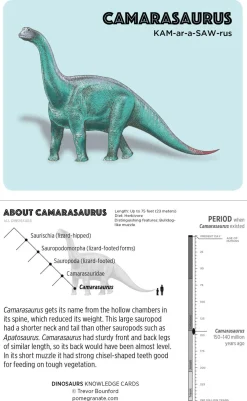 Pomegranate Games & Puzzles|Dinosaurs Knowledge Cards
