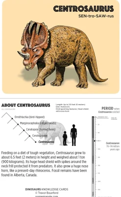 Pomegranate Games & Puzzles|Dinosaurs Knowledge Cards