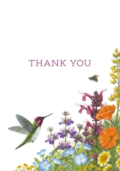 Pomegranate Boxed Cards|Erin E. Hunter: Wildflowers Thank You Notes