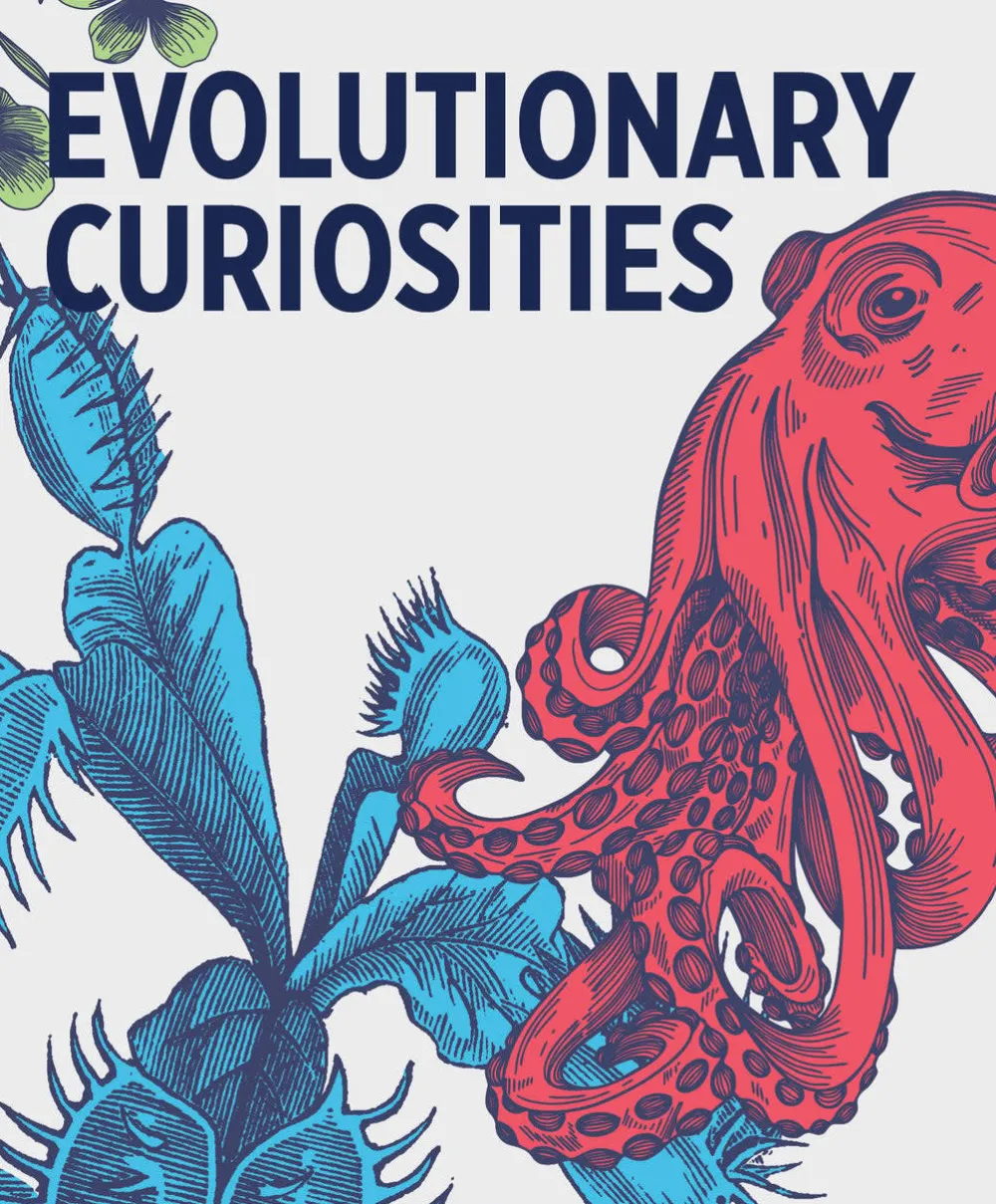 Pomegranate Games & Puzzles|Evolutionary Curiosities Knowledge Cards