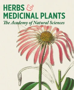 Pomegranate Games & Puzzles|Herbs & Medicinal Plants Knowledge Cards
