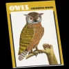 Pomegranate Coloring Books & Crafts|Books|Owls Coloring Book