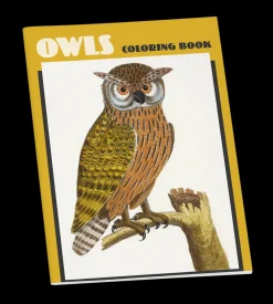 Pomegranate Coloring Books & Crafts|Books|Owls Coloring Book
