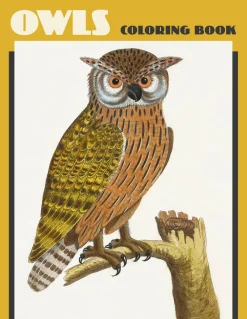 Pomegranate Coloring Books & Crafts|Books|Owls Coloring Book