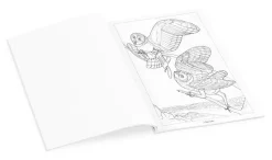 Pomegranate Coloring Books & Crafts|Books|Owls Coloring Book