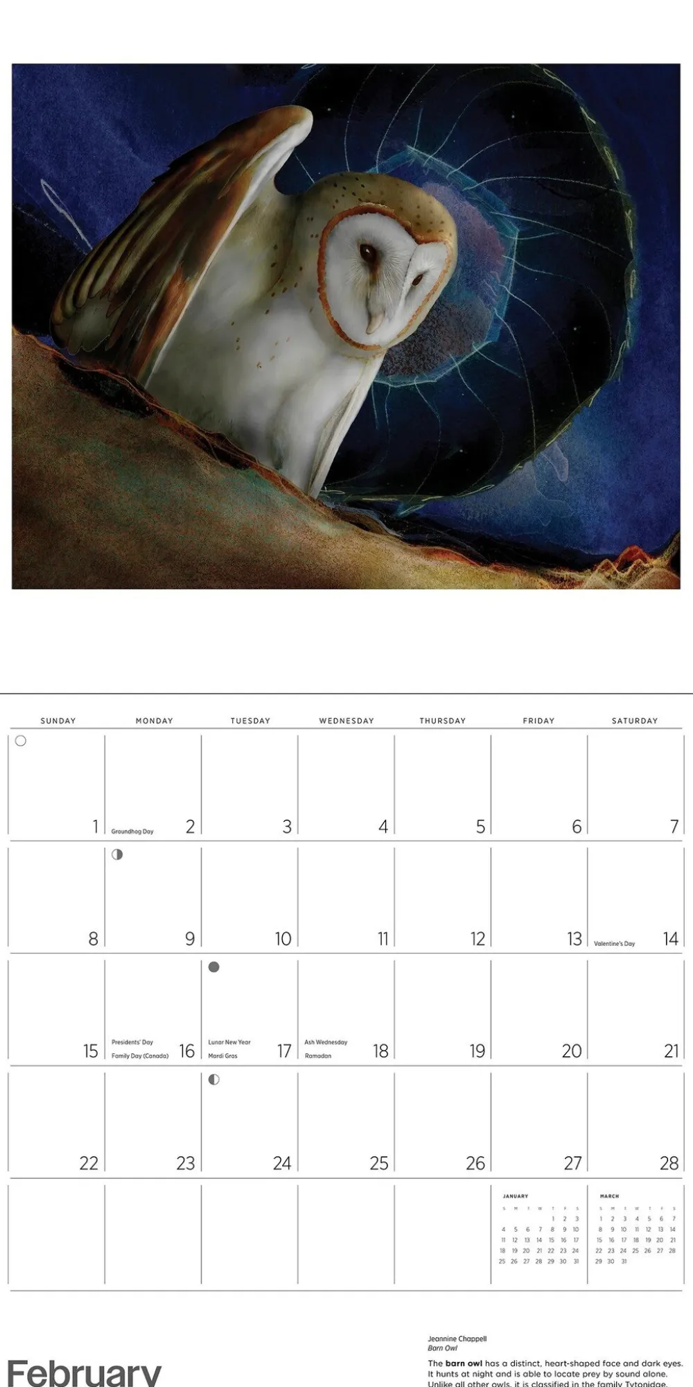 Pomegranate Calendars|Owls: Jeannine Chappell 2026 Wall Calendar