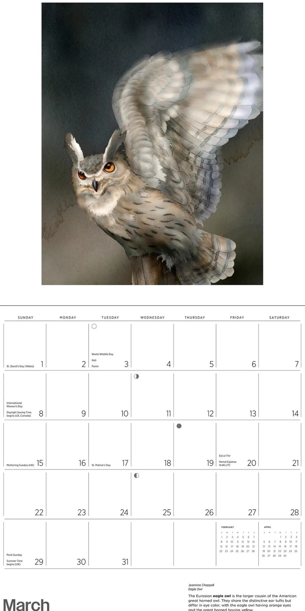 Pomegranate Calendars|Owls: Jeannine Chappell 2026 Wall Calendar