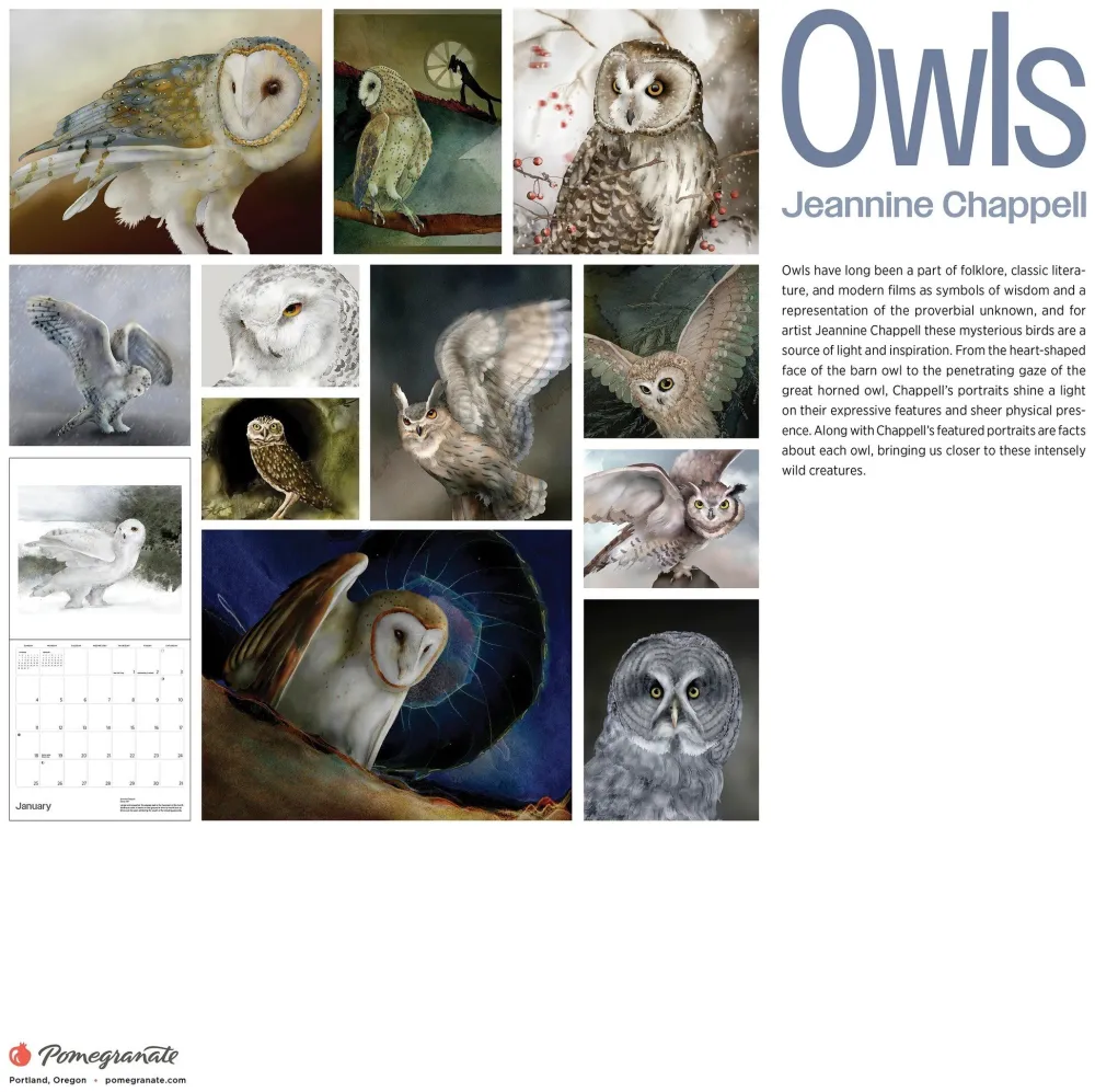 Pomegranate Calendars|Owls: Jeannine Chappell 2026 Wall Calendar