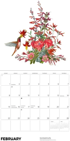Pomegranate Calendars|Pollinators 2026 Wall Calendar