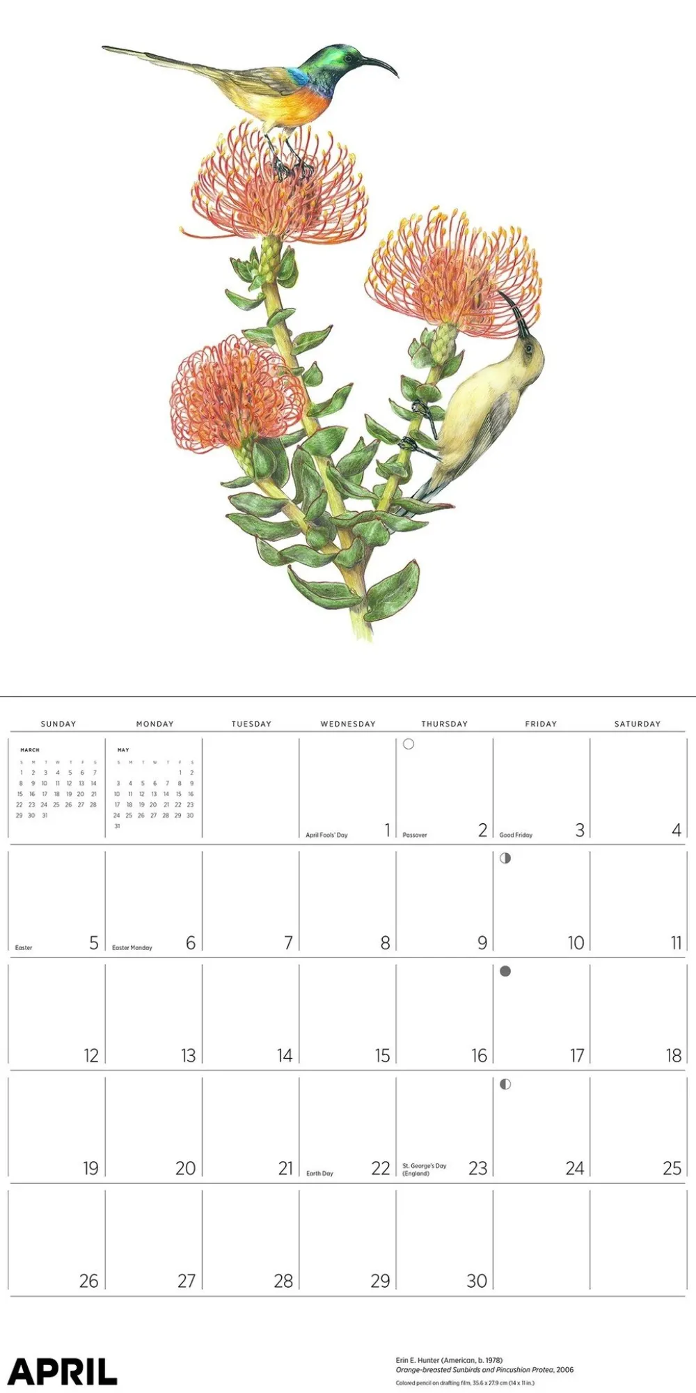 Pomegranate Calendars|Pollinators 2026 Wall Calendar