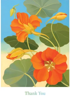 Pomegranate Boxed Cards|Siri Schillios Nasturtium Boxed Thank You Notes