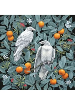 Pomegranate Boxed Cards|Vasilisa Romanenko: Birds of a Feather Boxed Notecard Assortment