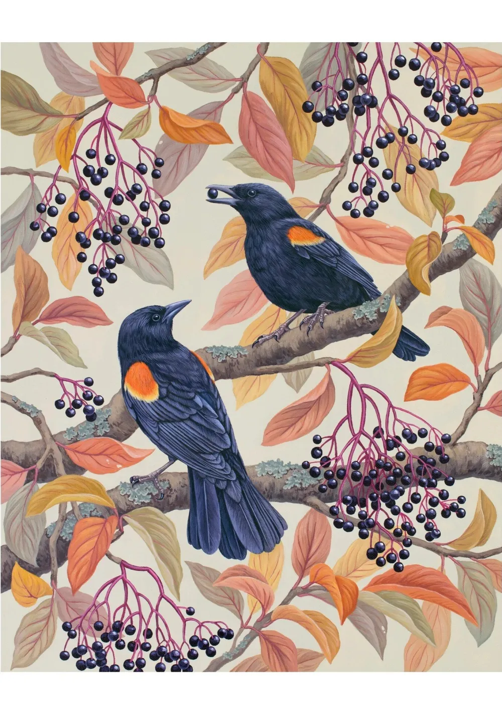 Pomegranate Boxed Cards|Vasilisa Romanenko: Birds of a Feather Boxed Notecard Assortment