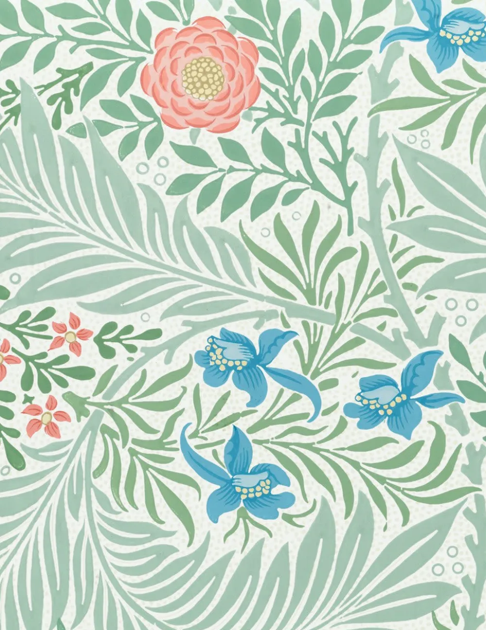 Pomegranate Boxed Cards|William Morris Keepsake Boxed Notecards