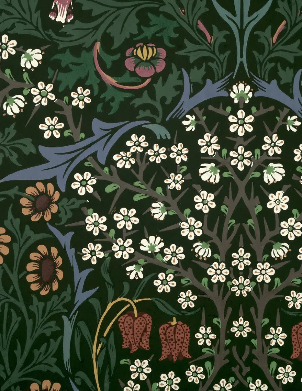 Pomegranate Boxed Cards|William Morris Keepsake Boxed Notecards