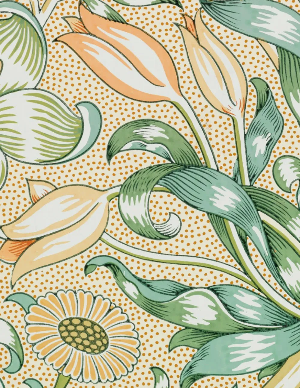 Pomegranate Boxed Cards|William Morris Keepsake Boxed Notecards