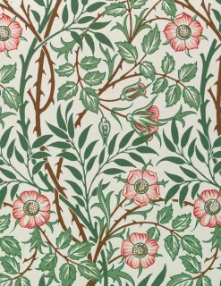 Pomegranate Boxed Cards|William Morris Keepsake Boxed Notecards
