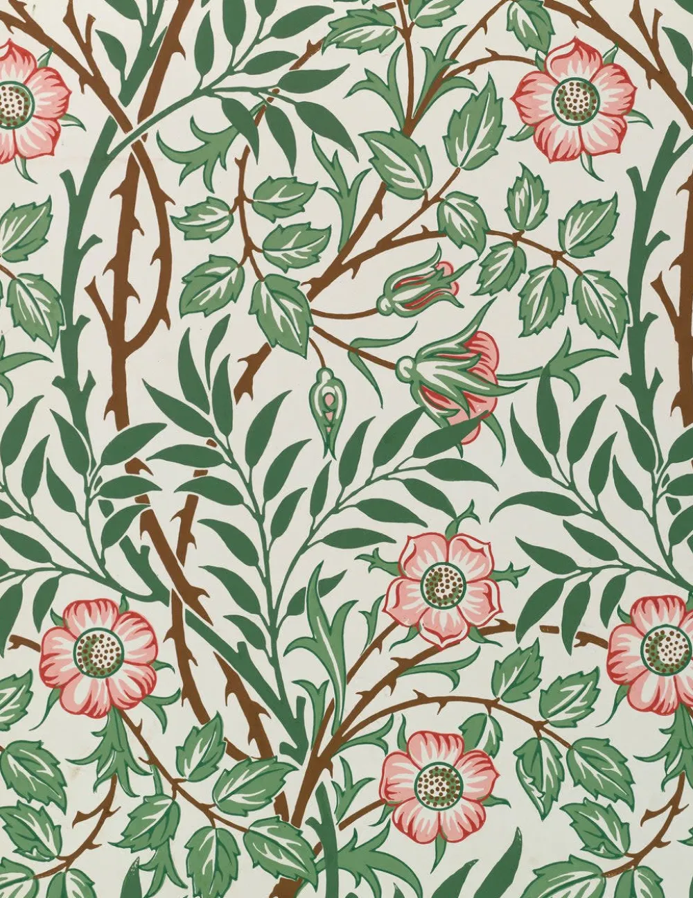 Pomegranate Boxed Cards|William Morris Keepsake Boxed Notecards