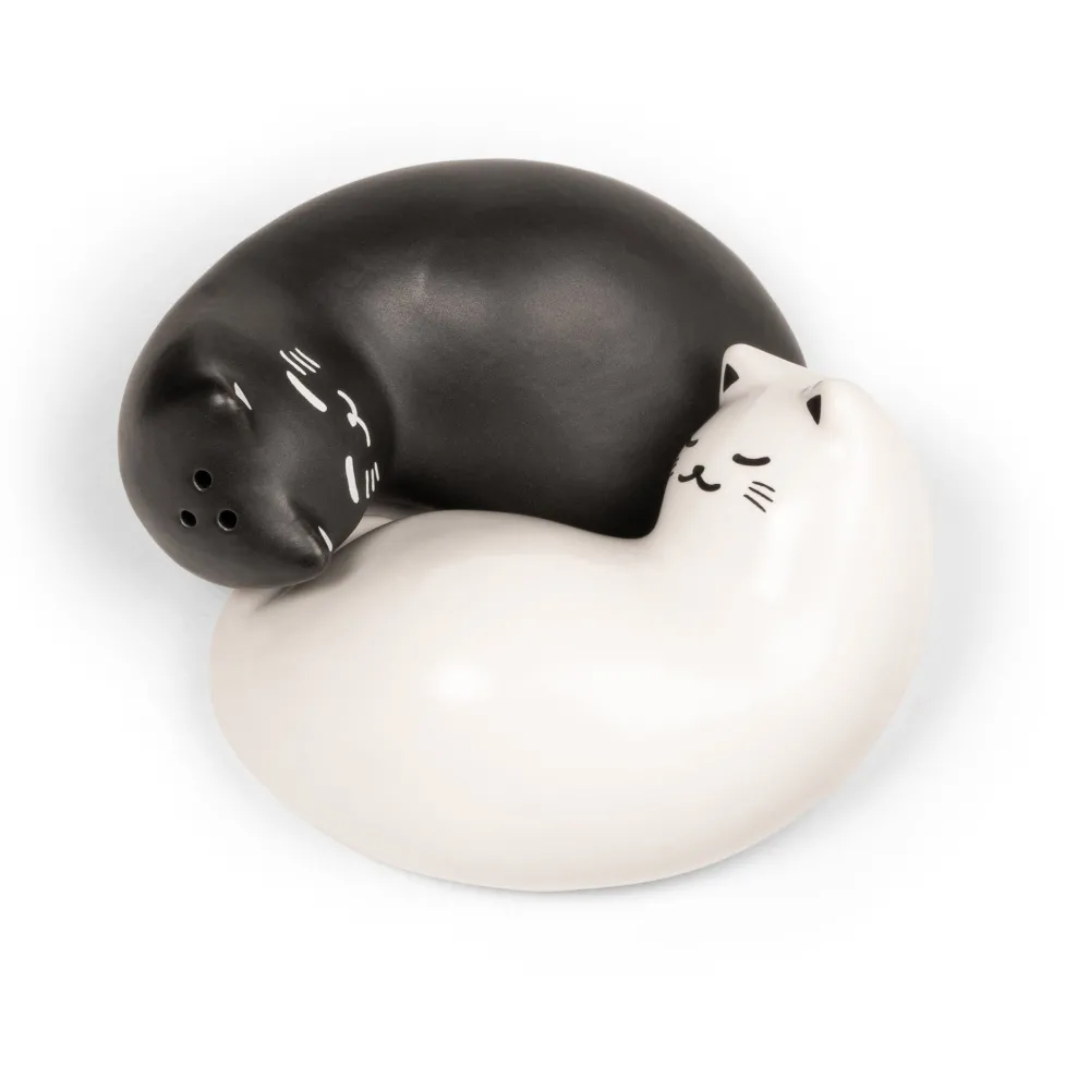 Kitchen Tools|Purrfect Salt & Pepper Shakers