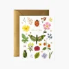 Rifle Paper Co. Greeting Cards|Curio Thank You Card