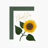 Rifle Paper Co. Greeting Cards|Sunflower Thank You Card