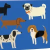 Boxed Cards|Shaggy Dogs Boxed Notecards