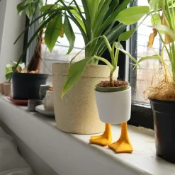Vases|Small Duck Feet Planter