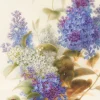 Greeting Cards|Spray of Lilac Greeting Card