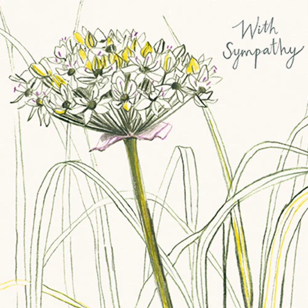 Greeting Cards|Spring Allium Sympathy Card