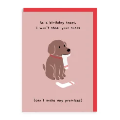 Greeting Cards|Steal Your Socks Birthday Card