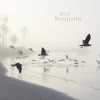 Greeting Cards|Still Waters Sympathy Card