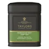 Taylors of Harrogate Taylors Of Harrogate|Taylors Moroccan Mint Green Loose Leaf Caddy
