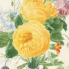 Greeting Cards|Vase of Flowers Greeting Card