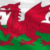 Souvenirs|Wales Large Flag