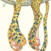 Greeting Cards|Watercolour Leopard Asleep Greeting Card