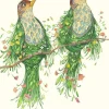 Greeting Cards|Watercolour Two Scruffy Thrushes Greeting Card