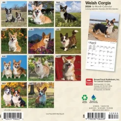 Calendars|Welsh Corgis 2026 Mini Wall Calendar