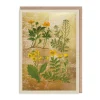 Greeting Cards|Wild Marsh Flower Collection Card