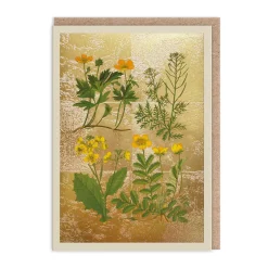 Greeting Cards|Wild Marsh Flower Collection Card