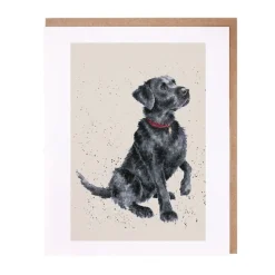 Wrendale Greeting Cards|A Dogs Life 'Jack' Labrador Greeting Card