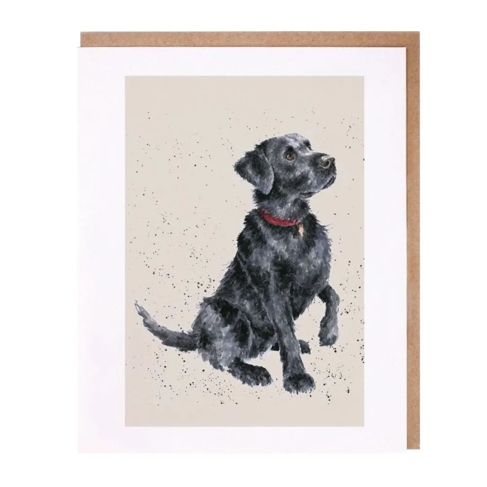Wrendale Greeting Cards|A Dogs Life 'Jack' Labrador Greeting Card