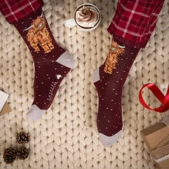Wrendale Socks|'A Highland Christmas' Highland Cow Men's Socks