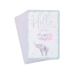 Wrendale Boxed Cards|Baby Animal Milestone New Baby Boxed Cards