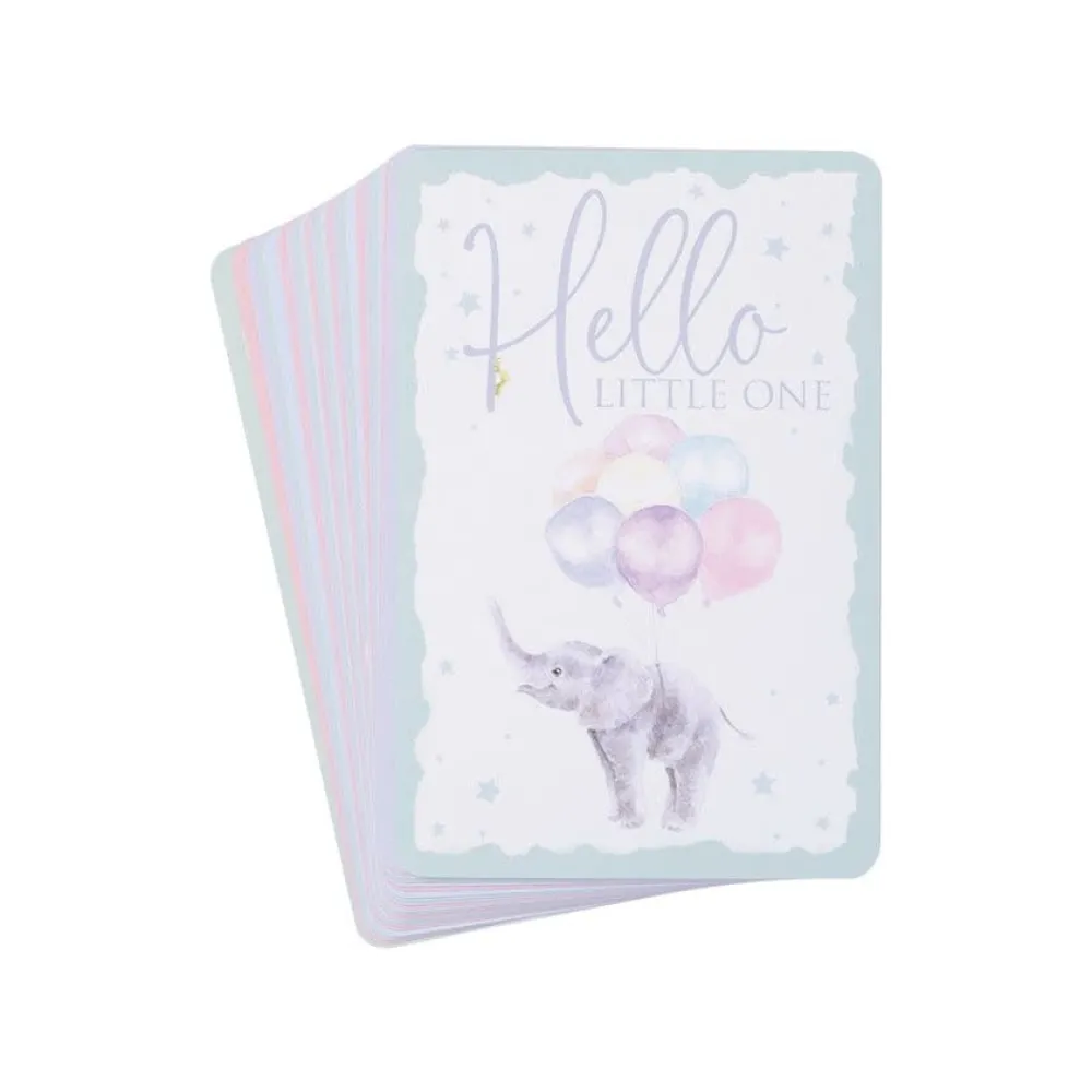 Wrendale Boxed Cards|Baby Animal Milestone New Baby Boxed Cards
