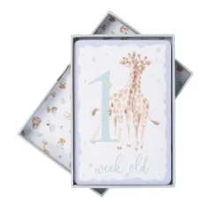 Wrendale Boxed Cards|Baby Animal Milestone New Baby Boxed Cards