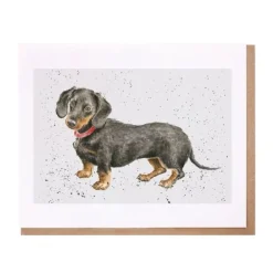 Wrendale Greeting Cards|Hugo Dachshund Greeting Card
