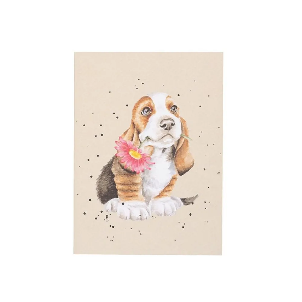 Wrendale Journals & Other Stationery|Just for You Basset Hound Small Notebook