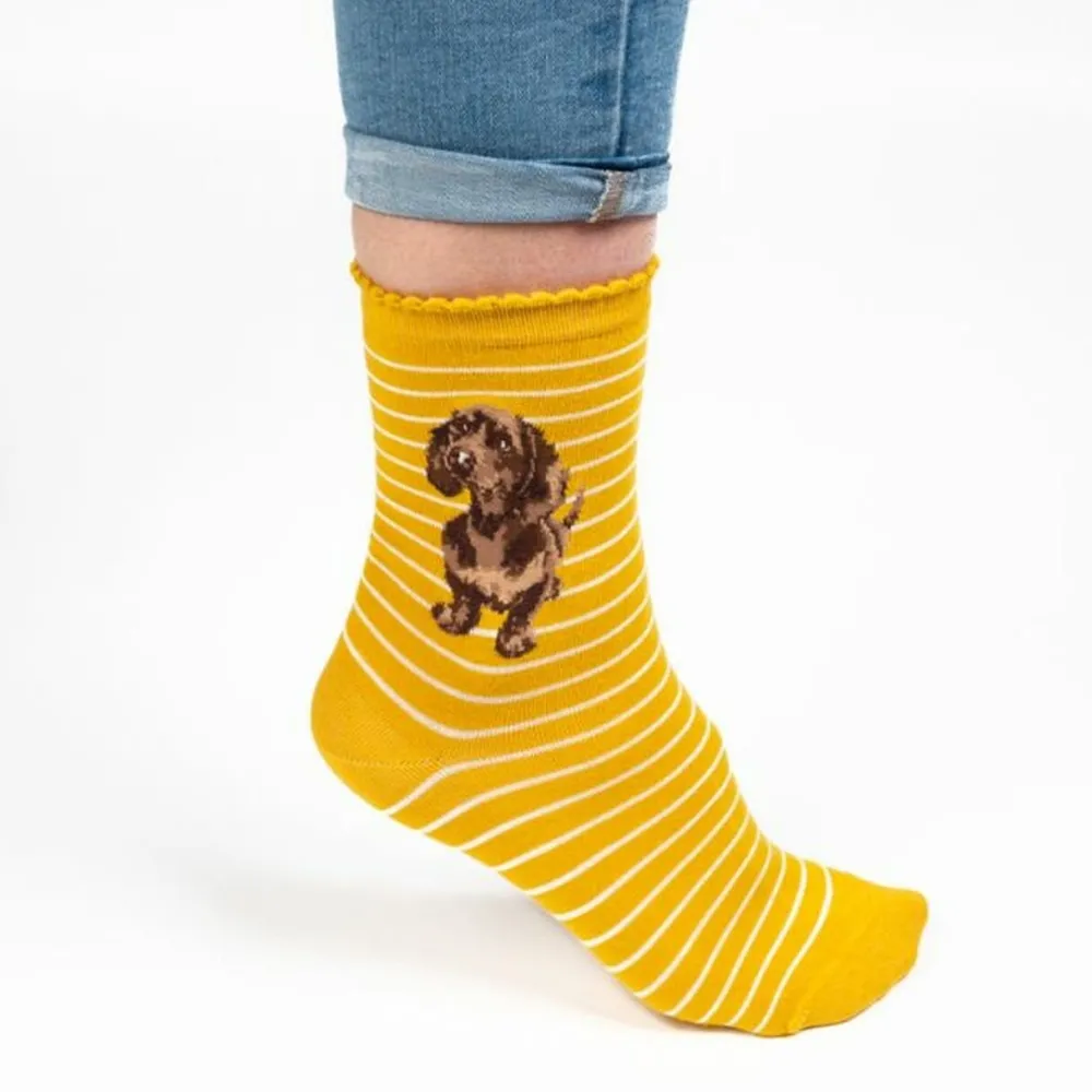 Wrendale Socks|'Little One' Dachshund Women's Socks